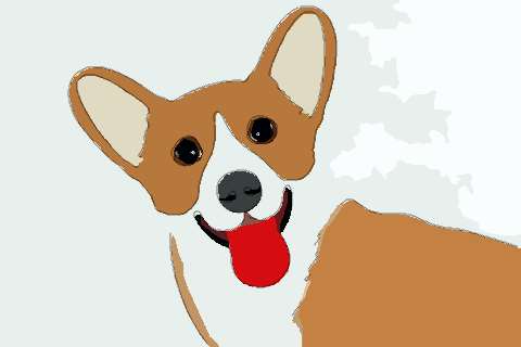 属狗2022年运势及运程 2022年属狗人的全年每月运势详解