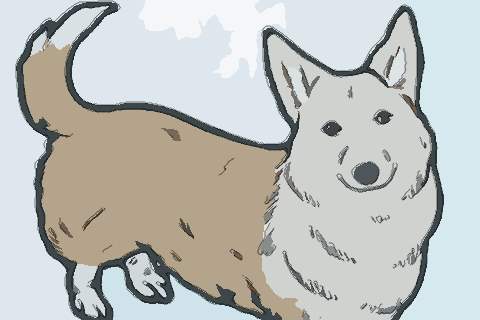 属狗2022年运势及运程 2022年属狗人的全年每月运势详解