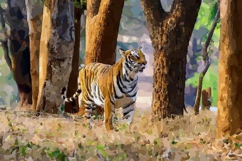 请留意属虎农历三月份出生的命运如何