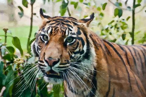 农历三月出生属虎人命好吗是不是苦命人