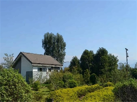 怎么判断屋子风水不好 又该如何改善