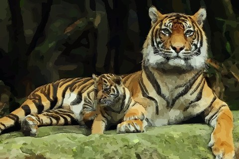 公开十月出生的属虎人命运好吗