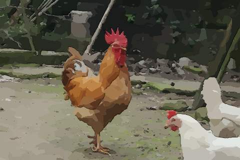 揭秘农历9月出生属鸡人命好吗