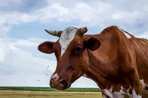 超详细解析四月出生的属牛人命运好吗