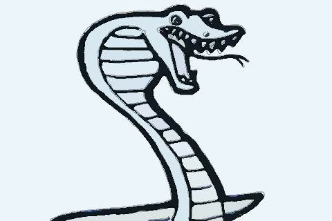 1965年属蛇人2022年运势及运程 57岁属蛇2022年全年每月运程详解