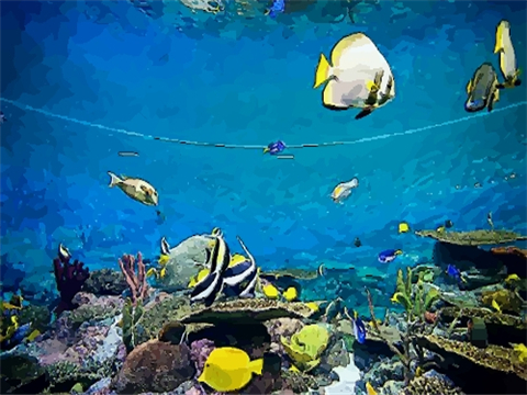 鱼缸放置风水 鱼缸放置的风水禁忌