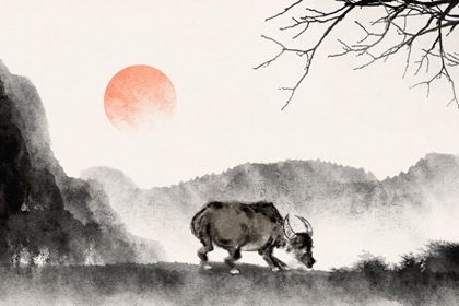 属牛男命本命年2021年可以结婚吗