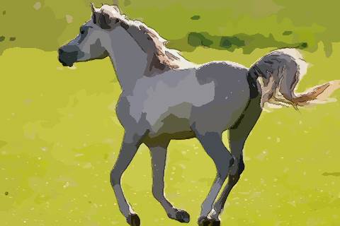 认真看农历十月出生的属马人好不好