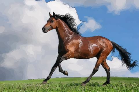 解读十月出生的属马人命运好吗