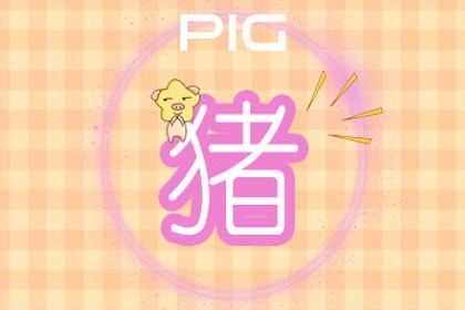 猪 属猪2022年运势如何