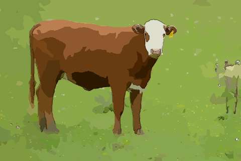 属牛出生日的命运哪天出生好