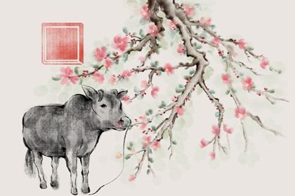 女人能戴虚空藏菩萨吗 属牛女运势运程