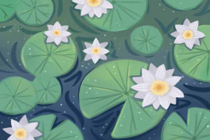 谷雨节气的特点和风俗 入夏季降雨量多