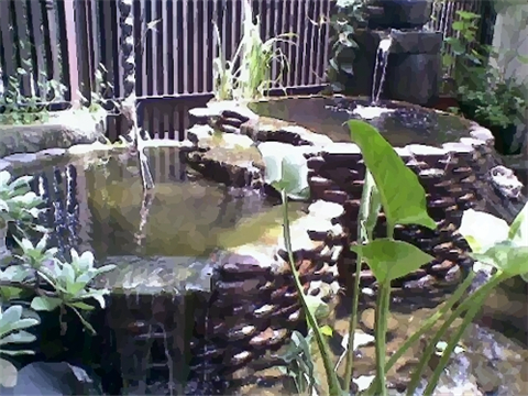 公司水池设计风水