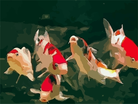 风水鱼缸要不要盖子