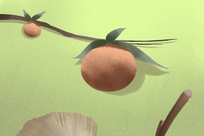 芒种节气的寓意和传统 芒种节气的寓意和传统 农忙时节安苗祭祀