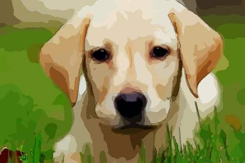 属狗的人哪天出生最好终身富贵