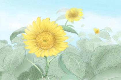 2021年芒种是6月5号18点51分 也被称为忙种时节