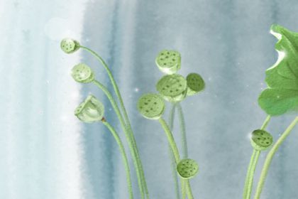 2021年芒种是6月5号18点51分 也被称为忙种时节