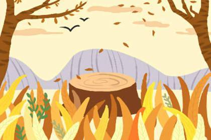 2021年芒种后九天是6月14号 土命人辰时交运