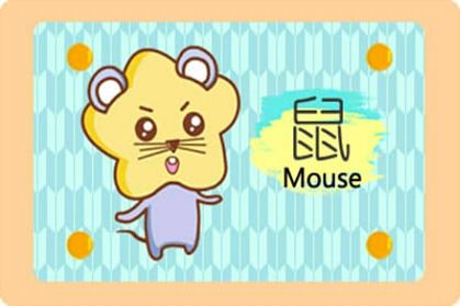 属鼠的和属猪2021年可以生宝宝吗