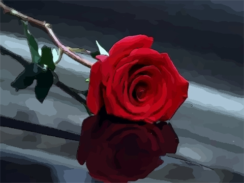 卧室放红玫瑰对风水有何影响