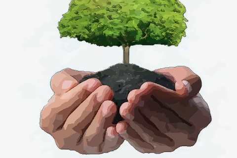 手相感情线断开图解3种说法你清楚哪些