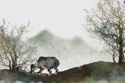 牛5 85属牛的一生婚姻女 属牛的人容易离婚吗