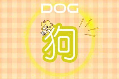 2021年属狗有贵人相助吗 正财运好不好呢