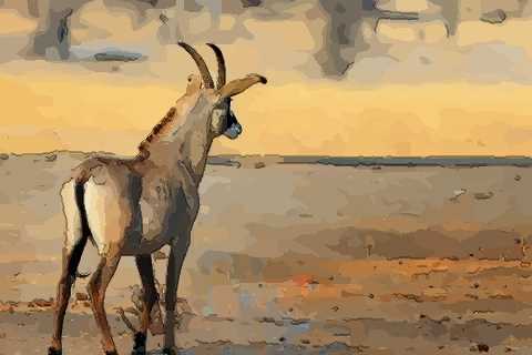 女生属羊几月份最不好很命苦