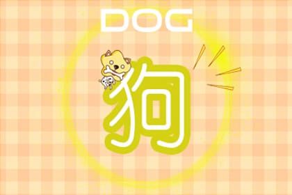 狗 2022年属狗的运气怎么样