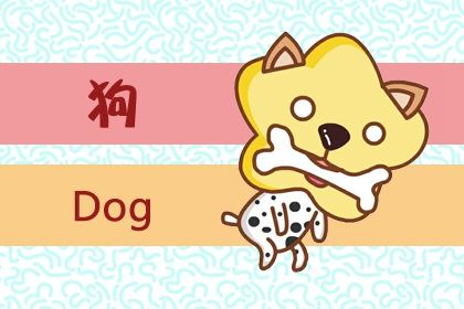 狗 2022属狗人全年运势1982 事业迷茫