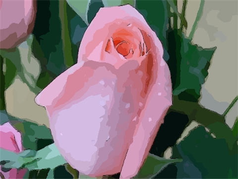 花的摆放风水位置 家里的花应该如何摆放