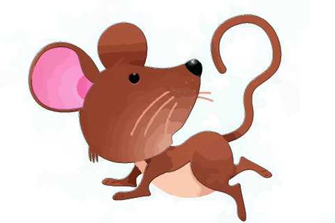 你确定10月属鼠的人命好吗