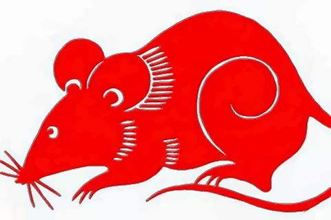 家有属鼠人必看农历十月出生的属鼠人命运怎么样