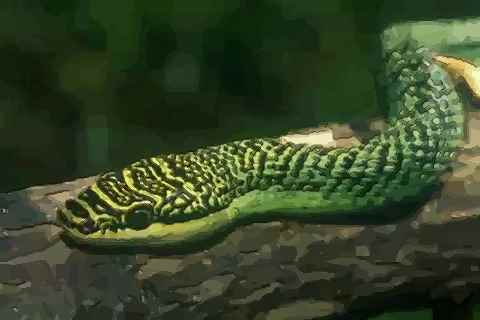 生肖蛇性格优缺点是有哪些