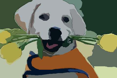 2006年女性属狗人2021年运势运程 15岁属狗女2021年每月运势如何