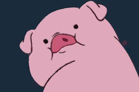 2007年女性属猪人2021年运势运程 14岁属猪女2021年每月运势如何