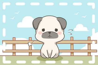 狗8 属狗佩戴什么饰品 运势最好