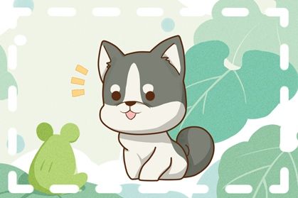 狗11 2021年生肖属狗人 桃花婚姻运势