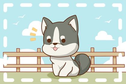 狗12 2021年生肖属狗人 桃花婚姻运势