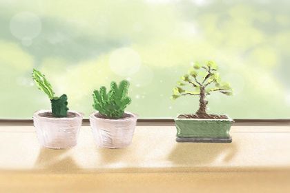 谷雨节气喝谷雨茶 谷雨节气喝谷雨茶 清火明目对身体好