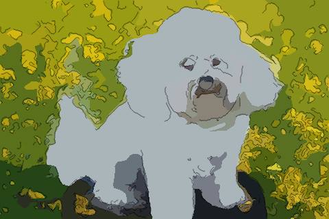 1958年属狗2021年刑太岁佩带什么,58年生肖狗犯太岁如何化解