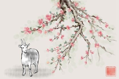 1979年羊人42岁后婚姻   属羊人中年以后的运势非常不错