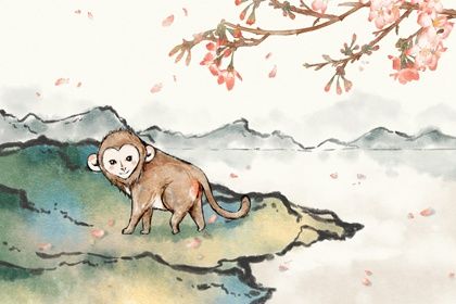 八o年属猴的运气好吗  运势相对比较平稳