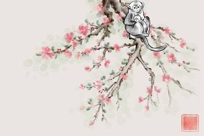 1980年猴男的婚姻命运  婚配宜忌