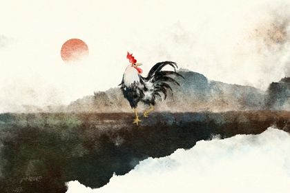 鸡4 1981年属鸡的婚姻和命运 感情运势分析