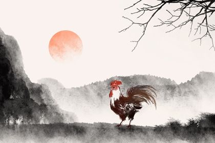 鸡6 1981年属鸡的婚姻和命运 感情运势分析