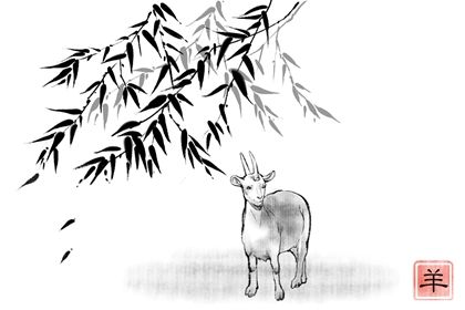 79年羊今年每月运势  整体运势分析