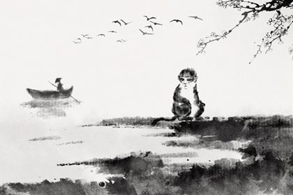 五十三猴女今年命运  各方面运势分析